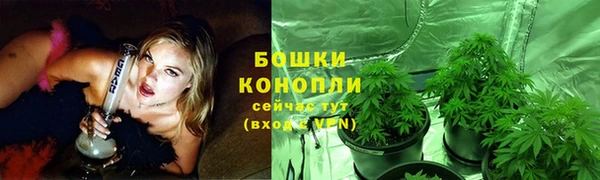 амф Беломорск