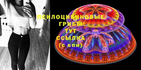 амф Беломорск