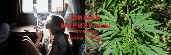 COCAINE Белокуриха